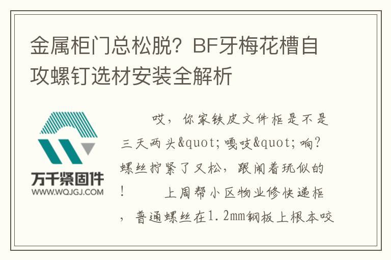 金屬柜門總松脫？BF牙梅花槽自攻螺釘選材安裝全解析