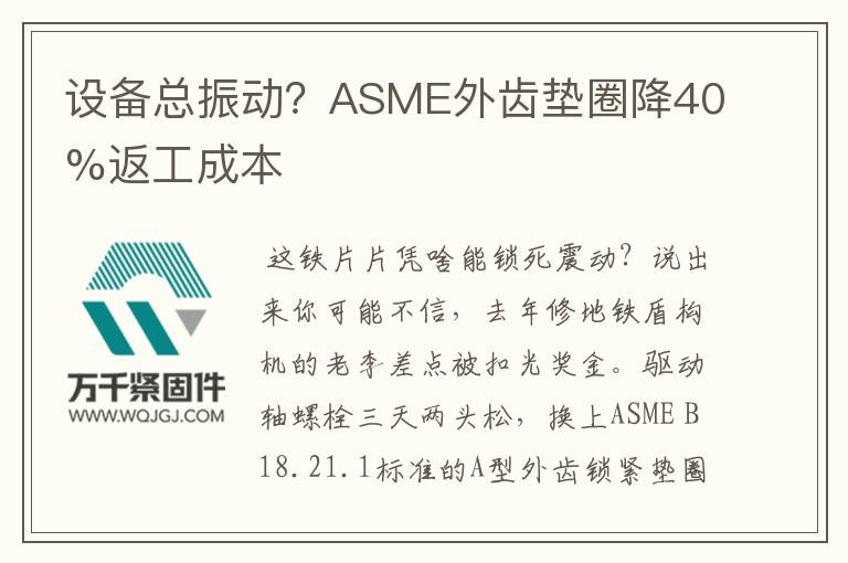 設(shè)備總振動？ASME外齒墊圈降40%返工成本