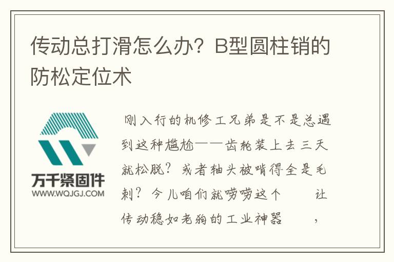 傳動(dòng)總打滑怎么辦？B型圓柱銷的防松定位術(shù)