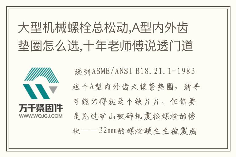 大型機(jī)械螺栓總松動(dòng),A型內(nèi)外齒墊圈怎么選,十年老師傅說(shuō)透門道