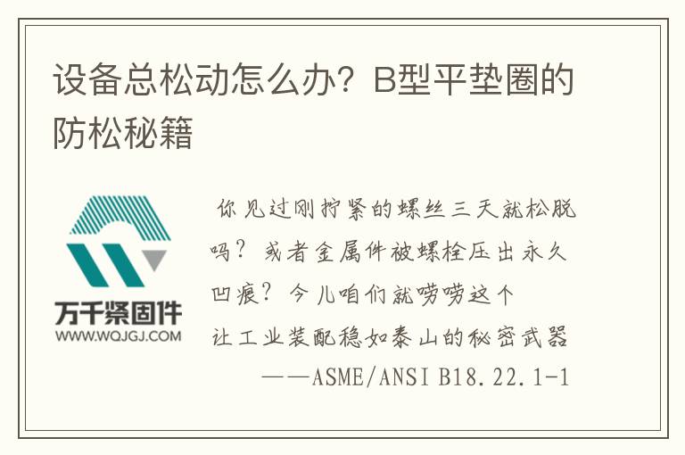 設(shè)備總松動怎么辦？B型平墊圈的防松秘籍