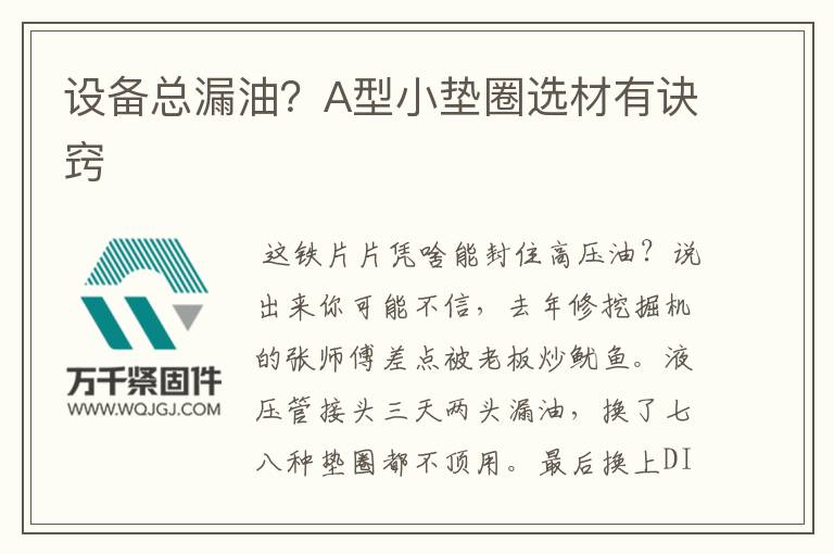 設(shè)備總漏油？A型小墊圈選材有訣竅