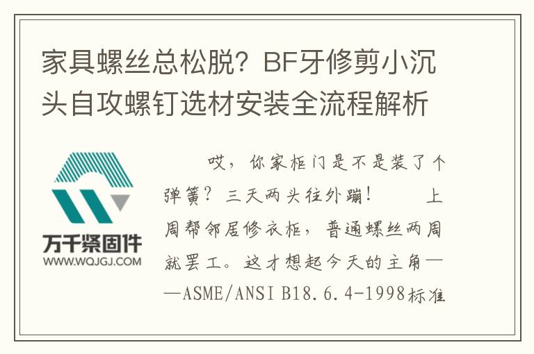 家具螺絲總松脫？BF牙修剪小沉頭自攻螺釘選材安裝全流程解析