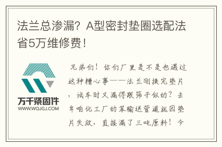 法蘭總滲漏？A型密封墊圈選配法省5萬(wàn)維修費(fèi)！