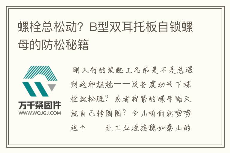 螺栓總松動？B型雙耳托板自鎖螺母的防松秘籍