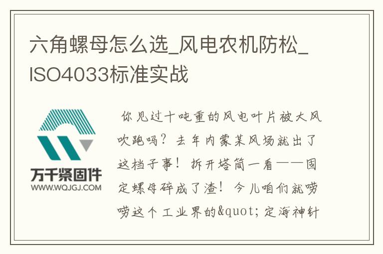 六角螺母怎么選_風(fēng)電農(nóng)機(jī)防松_ISO4033標(biāo)準(zhǔn)實(shí)戰(zhàn)
