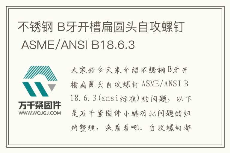 不銹鋼 B牙開(kāi)槽扁圓頭自攻螺釘 ASME/ANSI B18.6.3